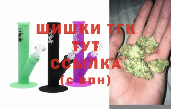 прущие грибы Алексин
