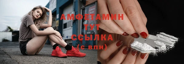 прущие грибы Алексин