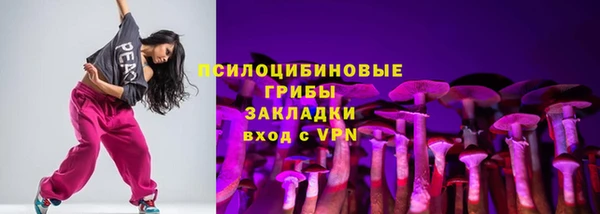 прущие грибы Алексин