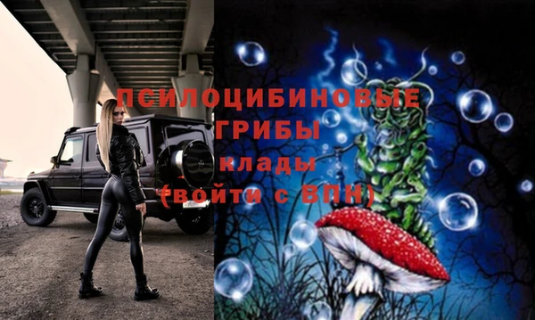 прущие грибы Алексеевка