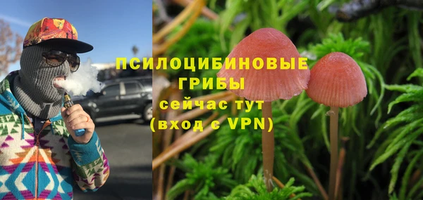 спайс Аркадак